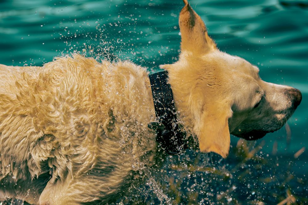 Photograph by Siarhei Saladukhin