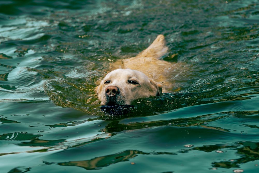 Photograph by Siarhei Saladukhin