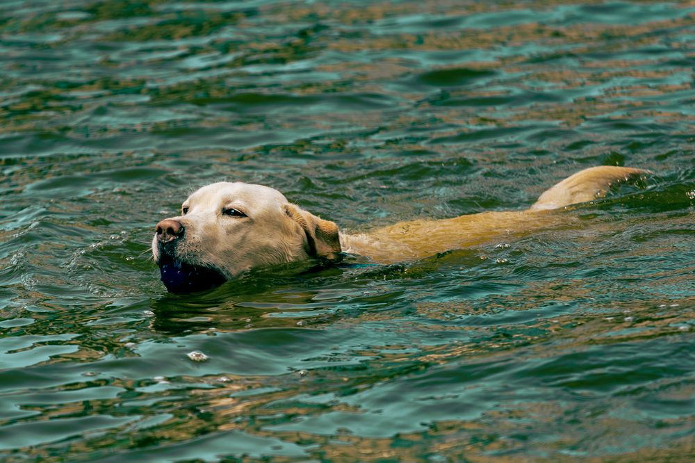 Photograph by Siarhei Saladukhin