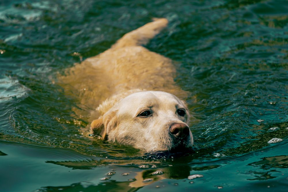 Photograph by Siarhei Saladukhin
