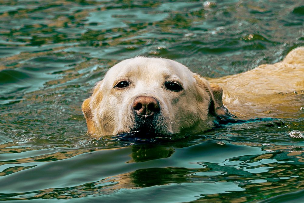 Photograph by Siarhei Saladukhin