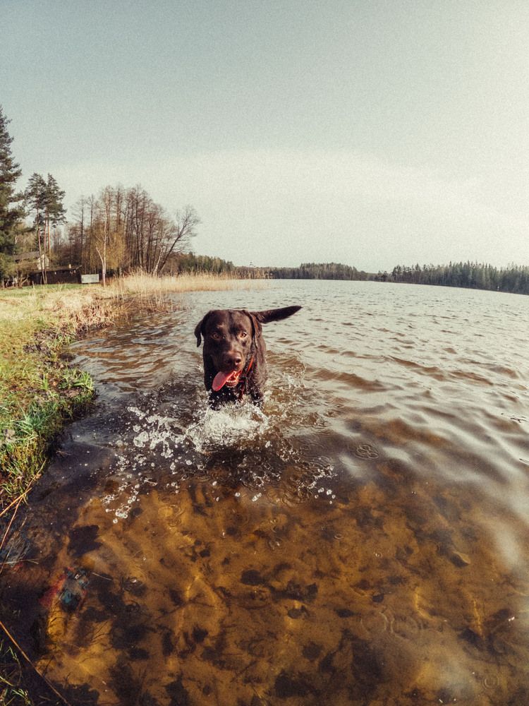 Фотография автора Виктор Орлов