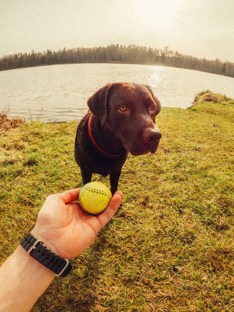 Фотография автора Виктор Орлов