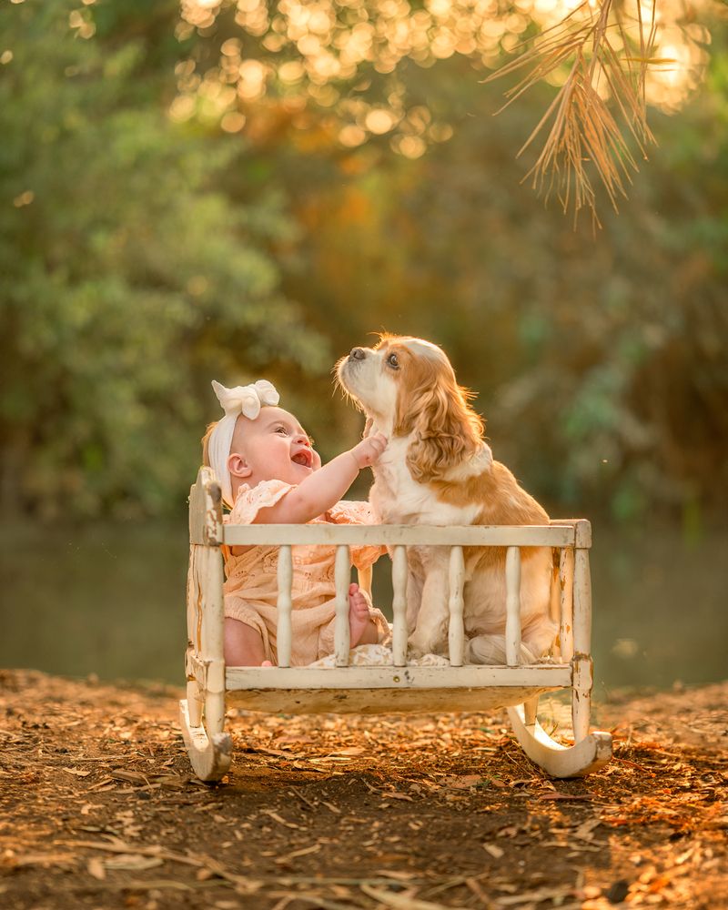 Photograph by Michal Abend