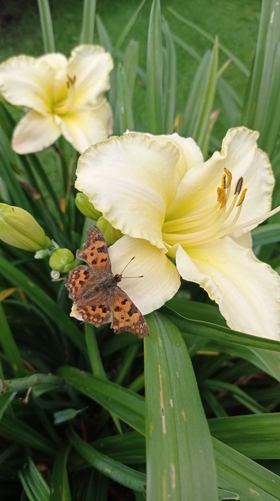 Фотография автора Костя