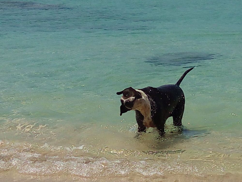 Photograph by Сироткина Нина