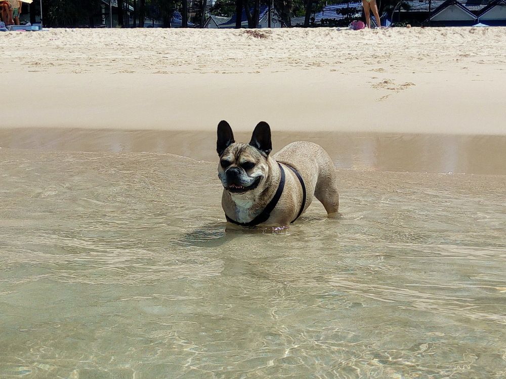 Photograph by Сироткина Нина