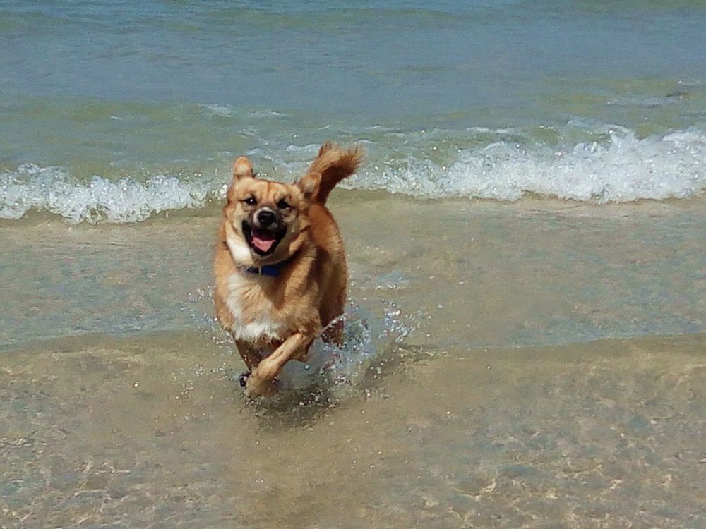 Photograph by Сироткина Нина