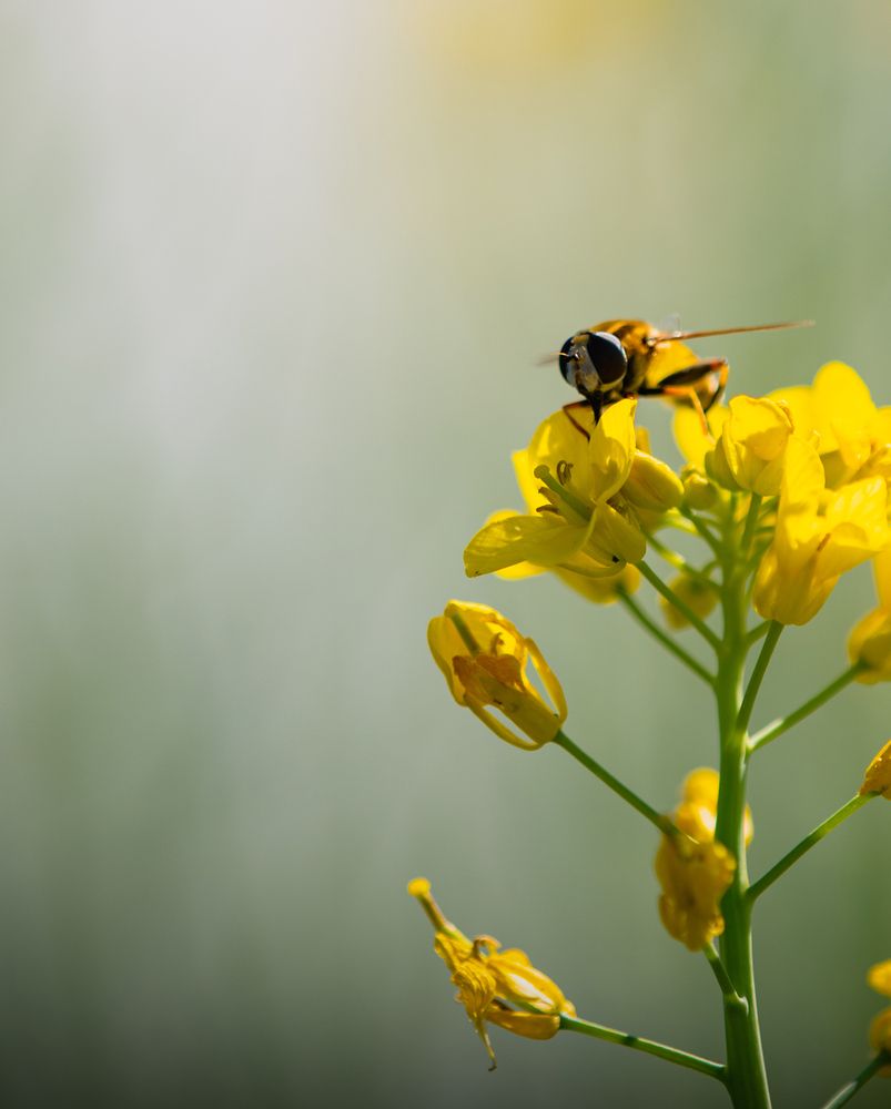 Фотография автора  Мария