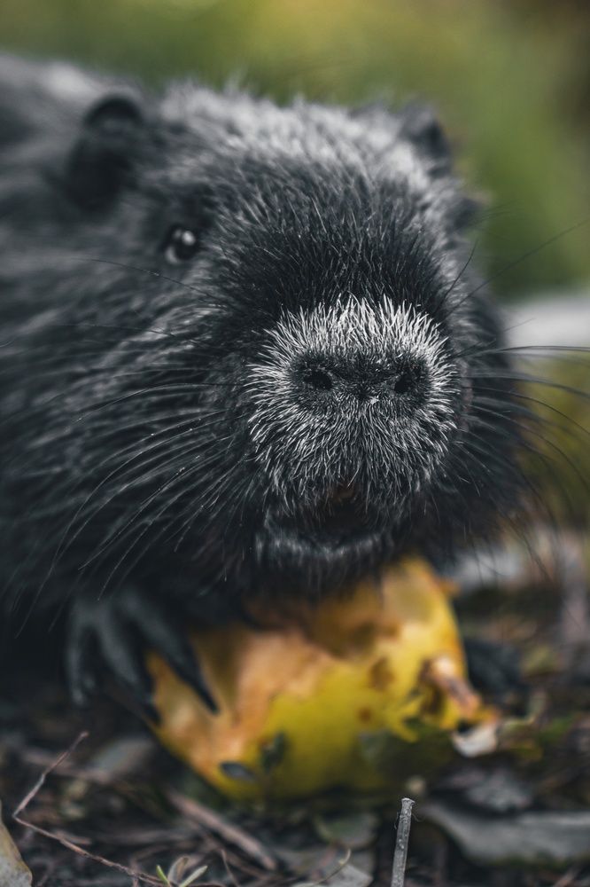 Photograph by Даниил Сырбу