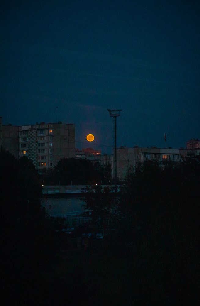 Photograph by Сергей Аникушин