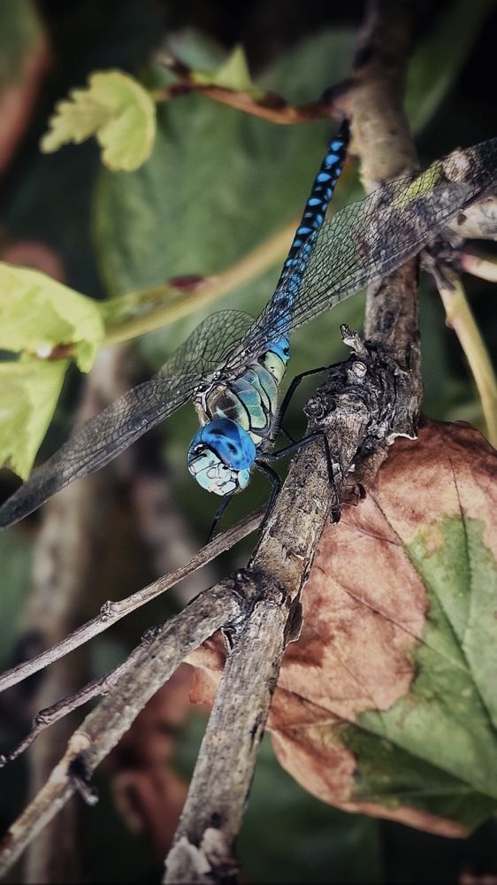 Фотография автора Наталья Тургулайнен