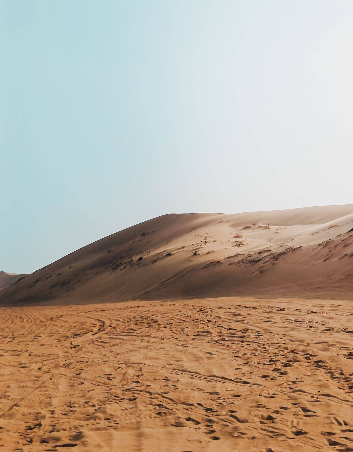 The Dubai Desert in Golden Hour The Dubai Desert in Golden Hour