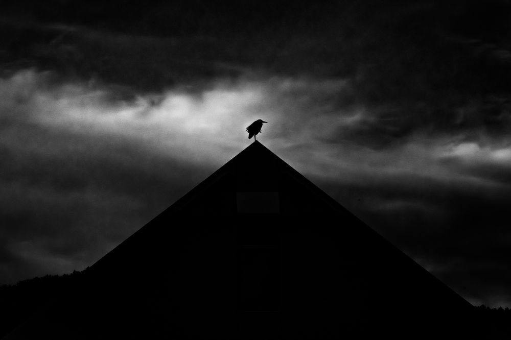 Photograph by KOHAGI