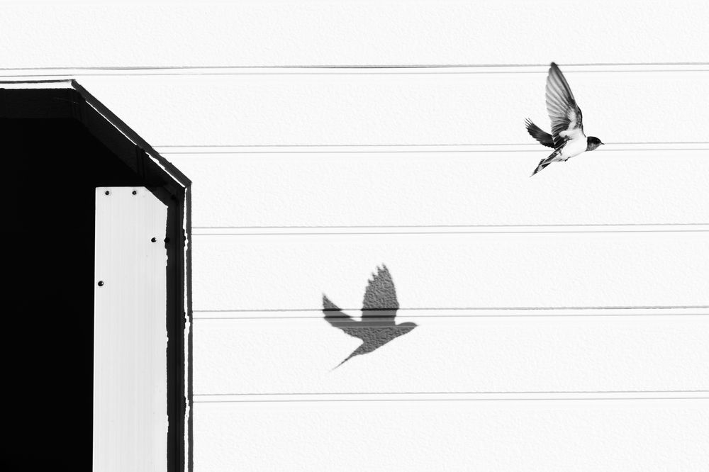 Photograph by KOHAGI