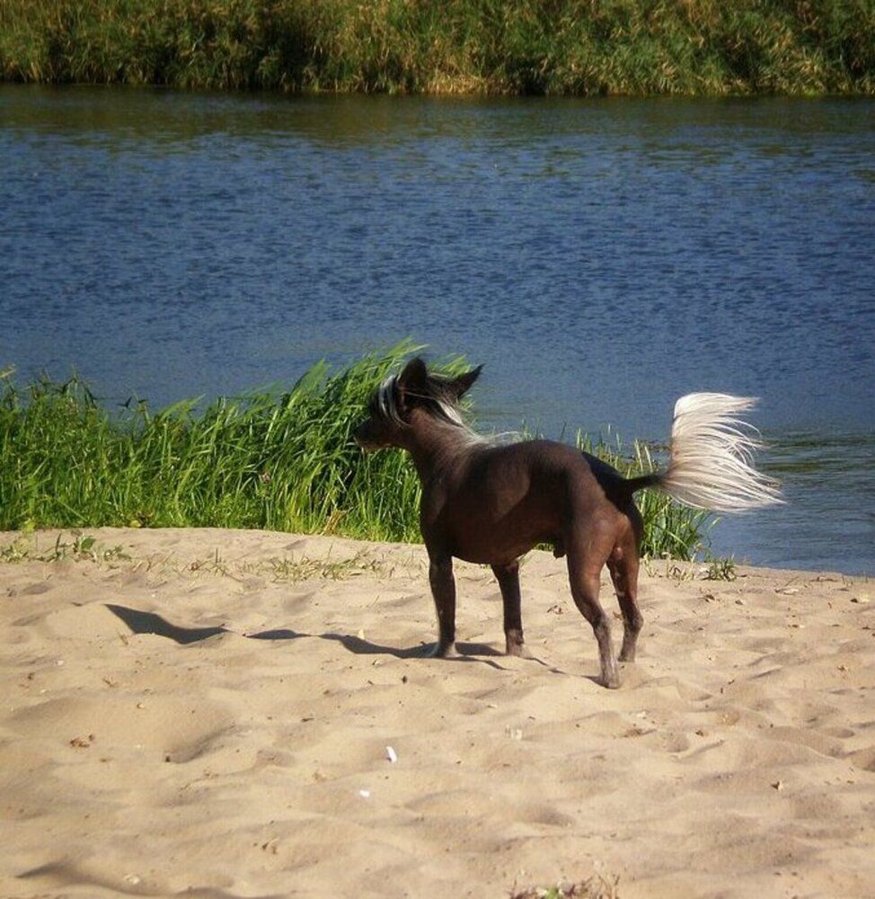 Photograph by Татьяна Пальчикова