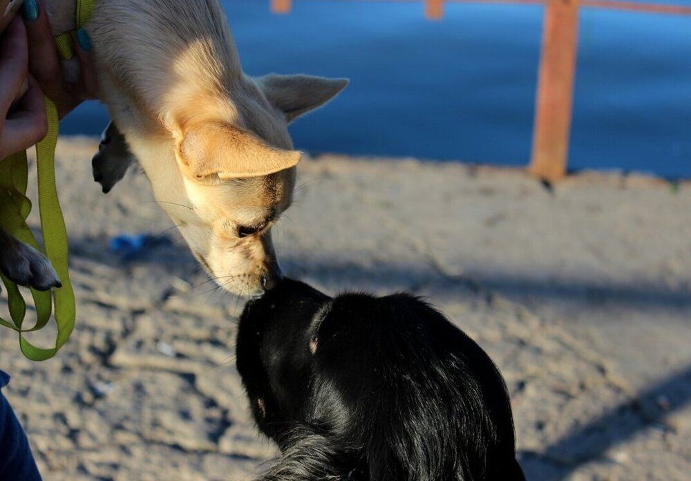 Photograph by Татьяна Пальчикова