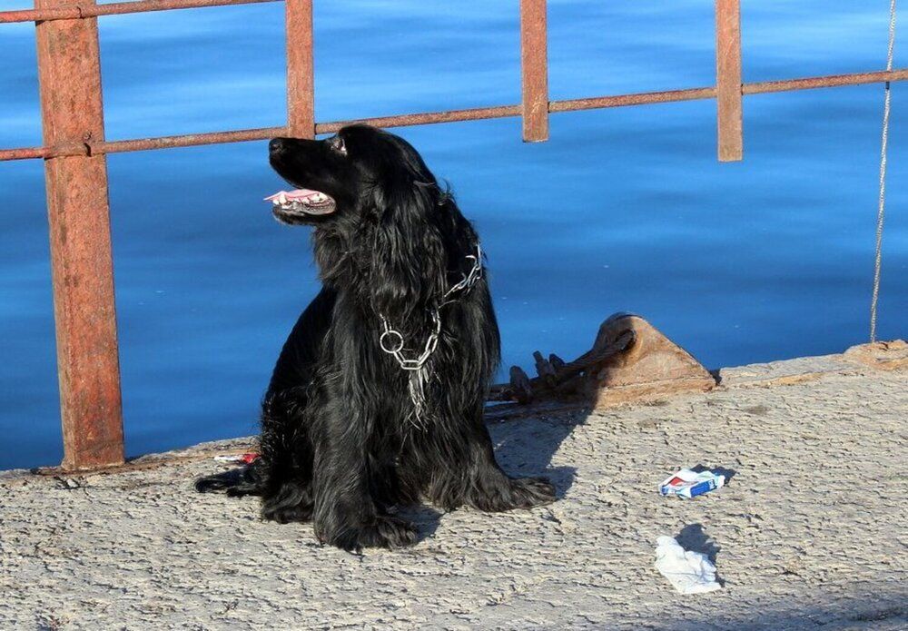 Photograph by Татьяна Пальчикова