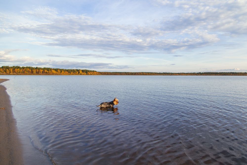 Photograph by G Shish