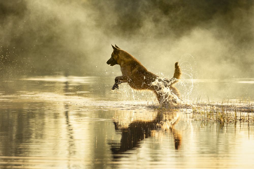 Photograph by Мария Комратова