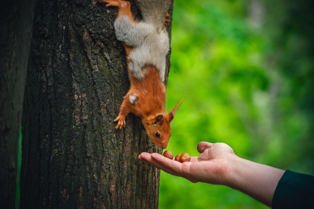 Photograph by Алексей
