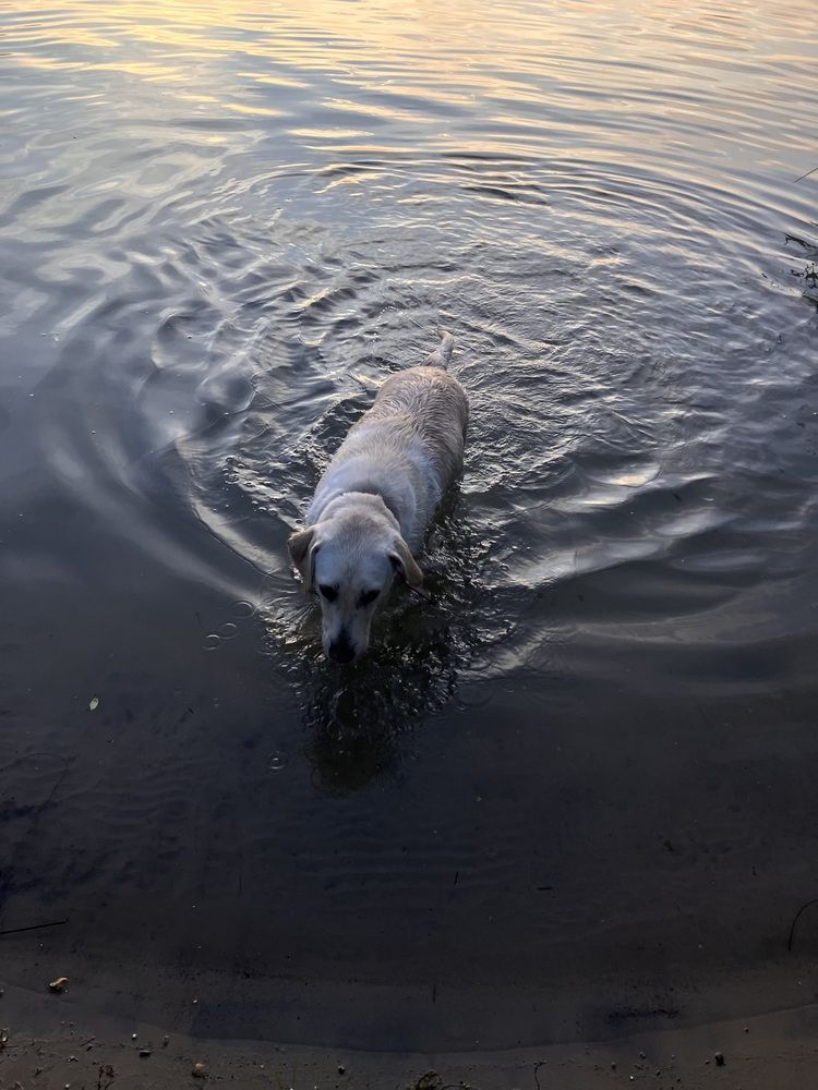 Photograph by Мария Карпычева