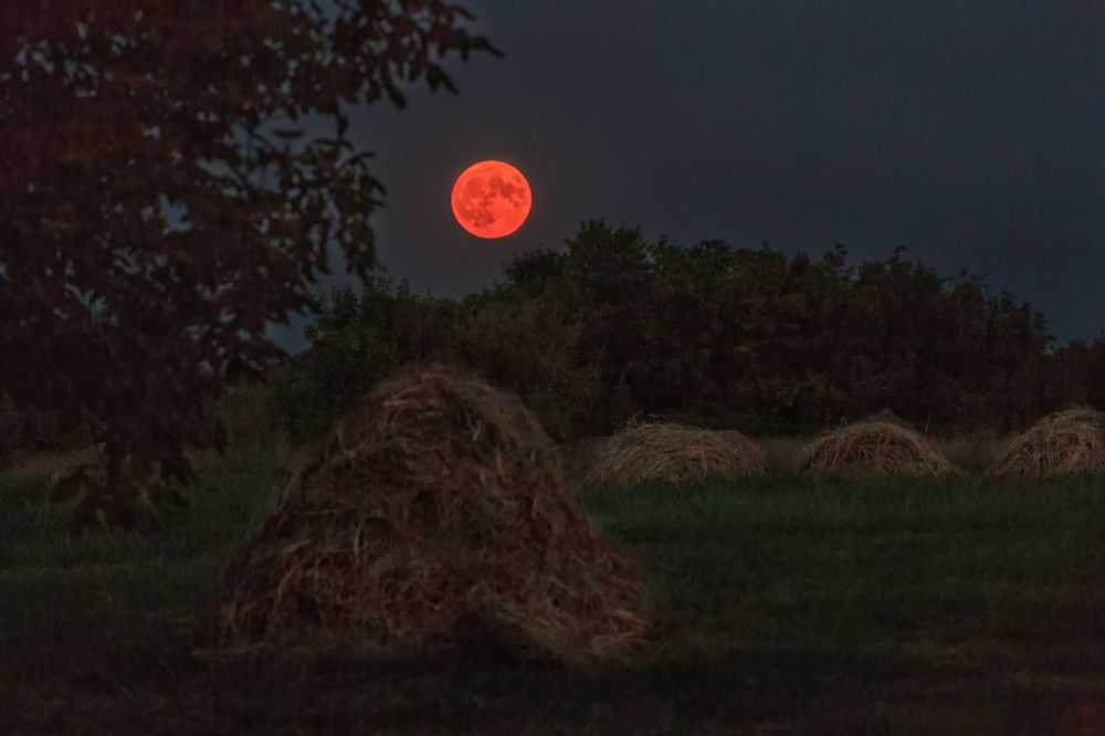 Фотография автора Галина Шепелева