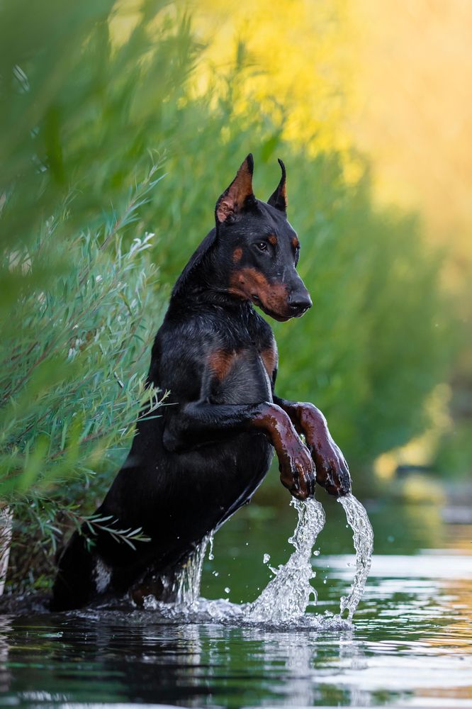 Photograph by Алена Райфутдинова