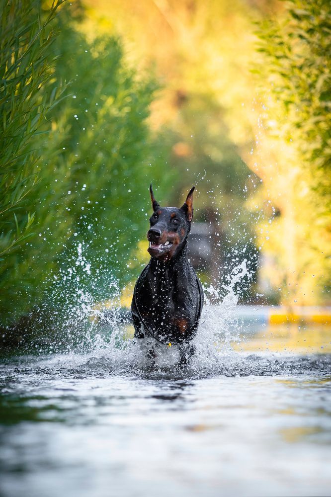 Photograph by Алена Райфутдинова