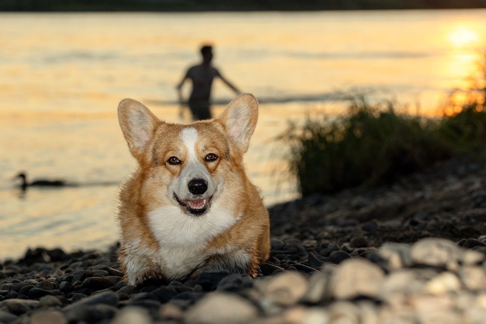 Фотография автора Елена Попова