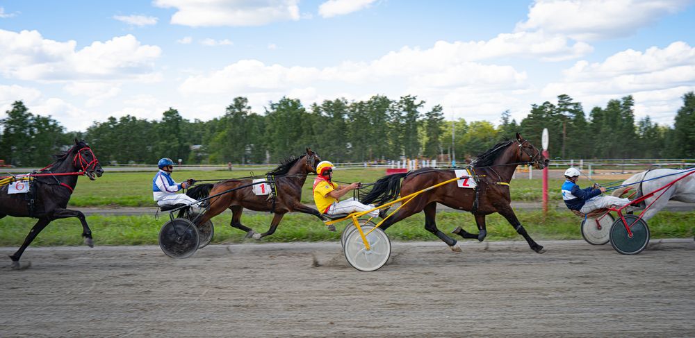 Фотография автора Сергей Хранитель