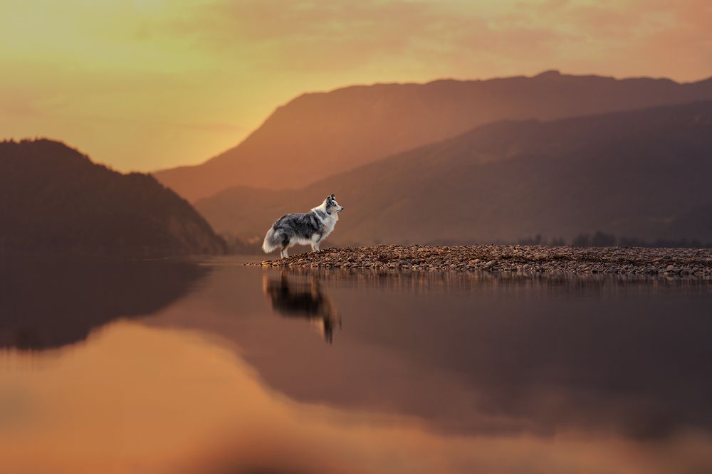 Photograph by Daniela Schmid