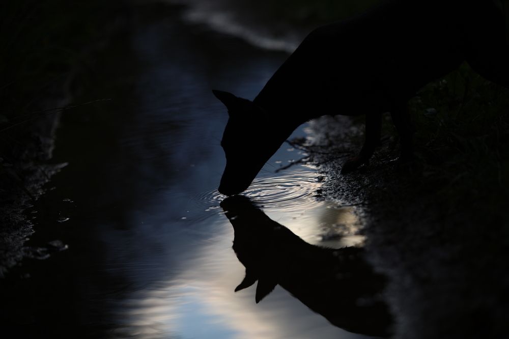 Photograph by Marina Gurina