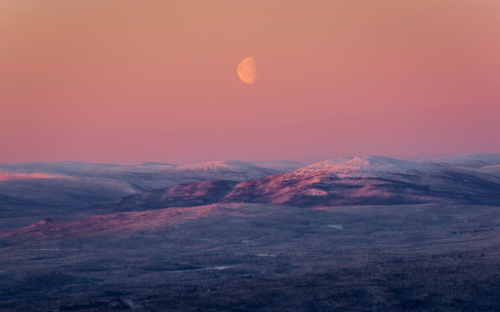 Photograph by Mika Mgla