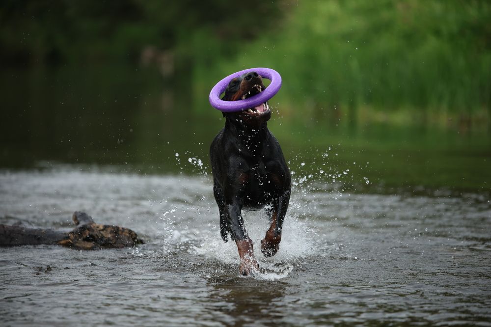 Photograph by Marina Gurina