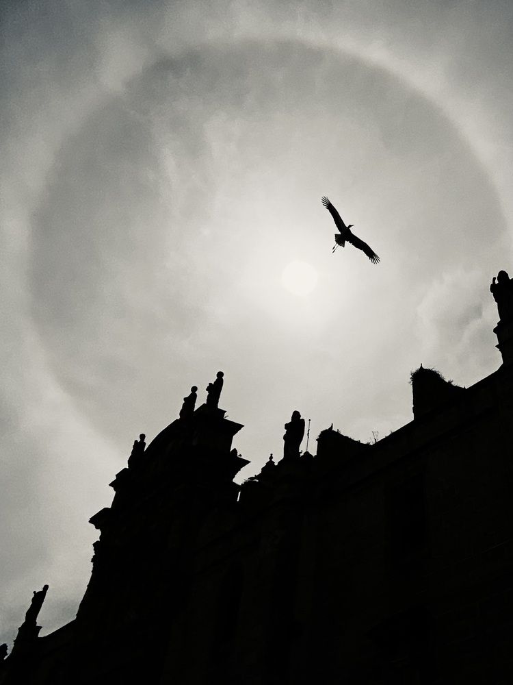 Под крылом вечности