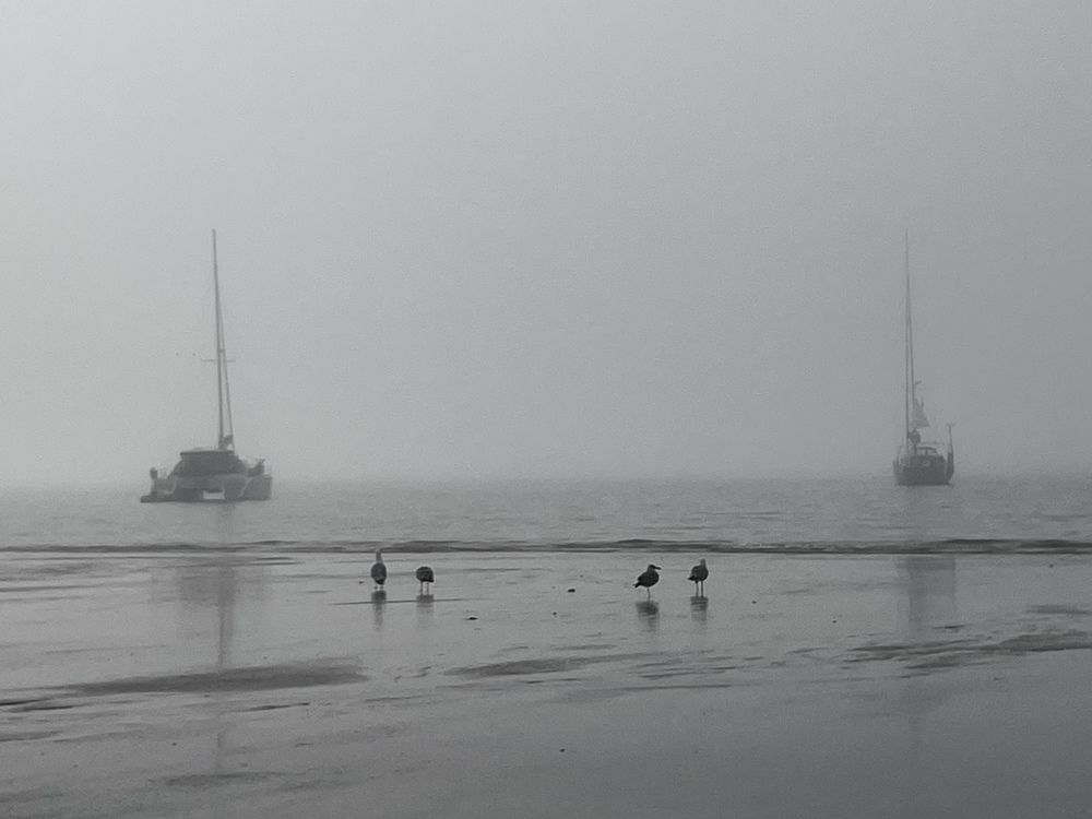 Фотография автора Elena