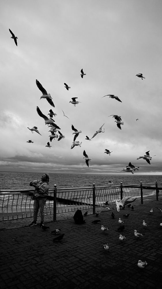 Фотография автора Алексей