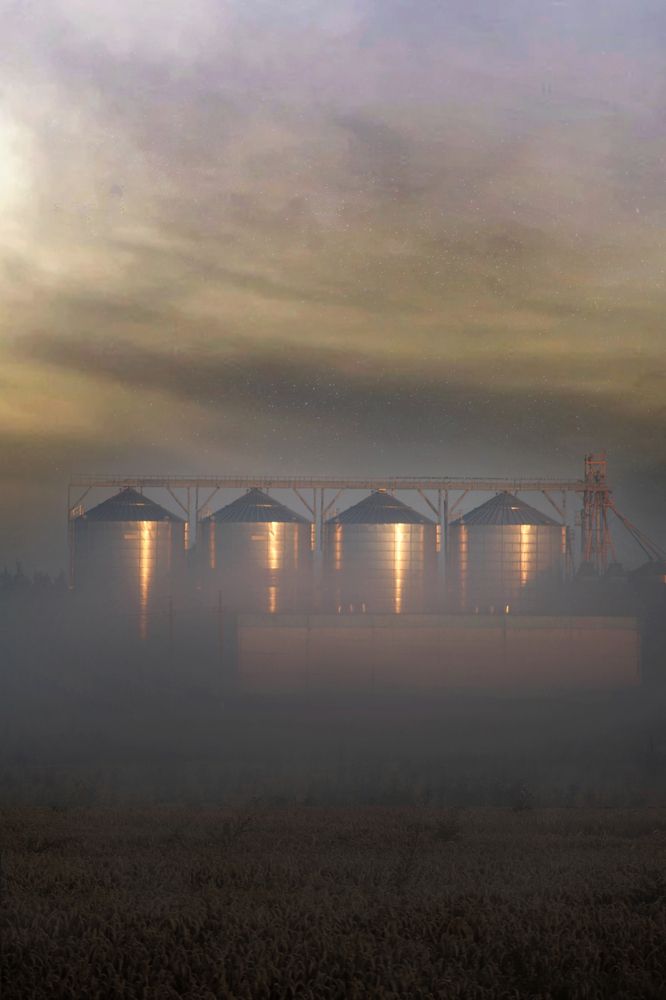 Photograph by Екатерина Козлова