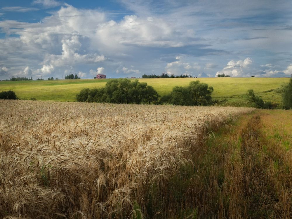 Photograph by Кондрашова Светлана