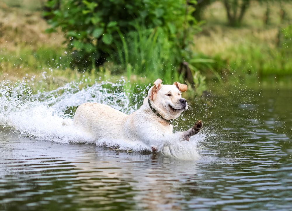 Photograph by Юлия Максимова