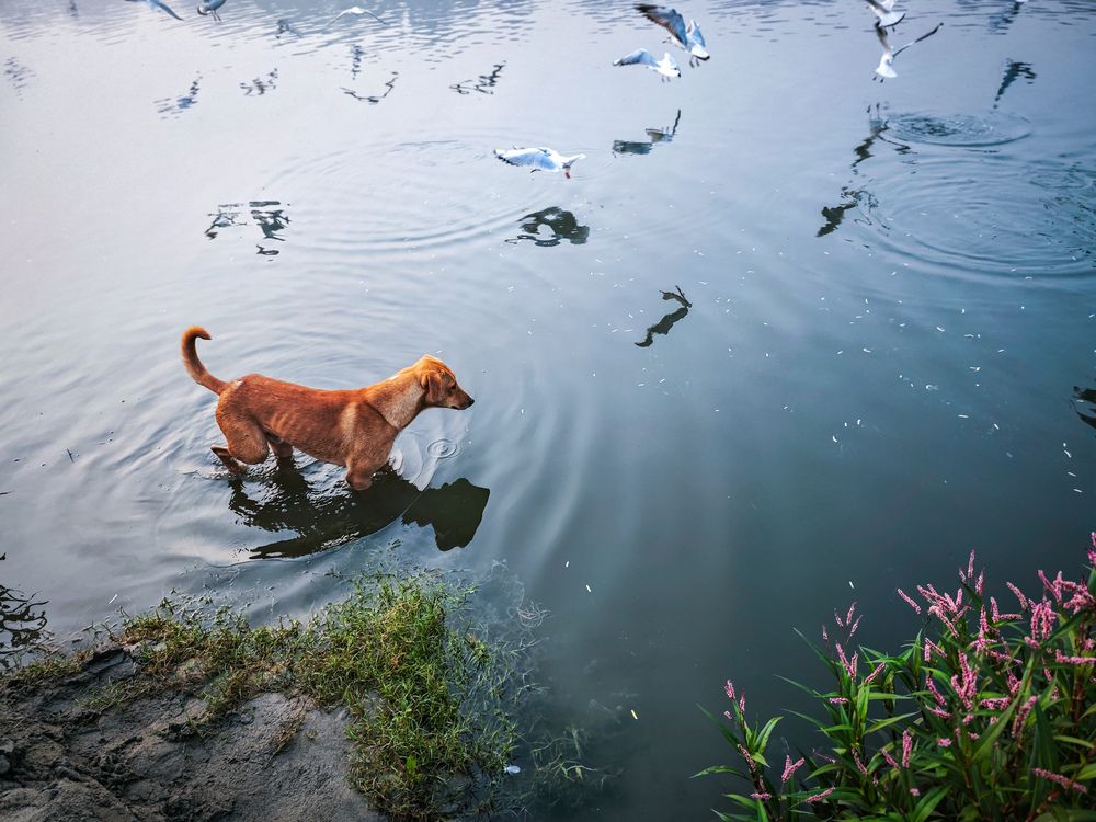 Photograph by HARSHIT MISHRA