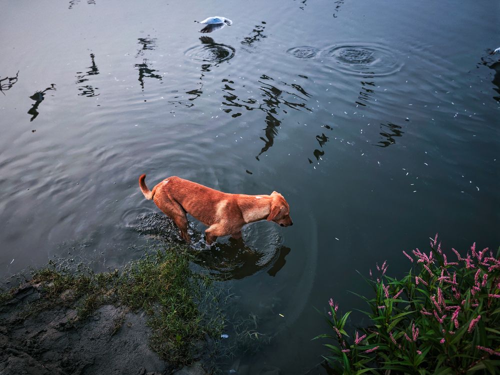 Photograph by HARSHIT MISHRA