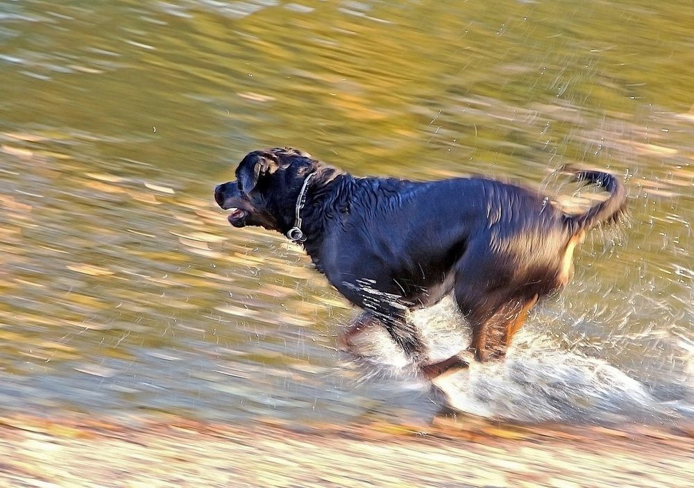 Фотография автора Александр