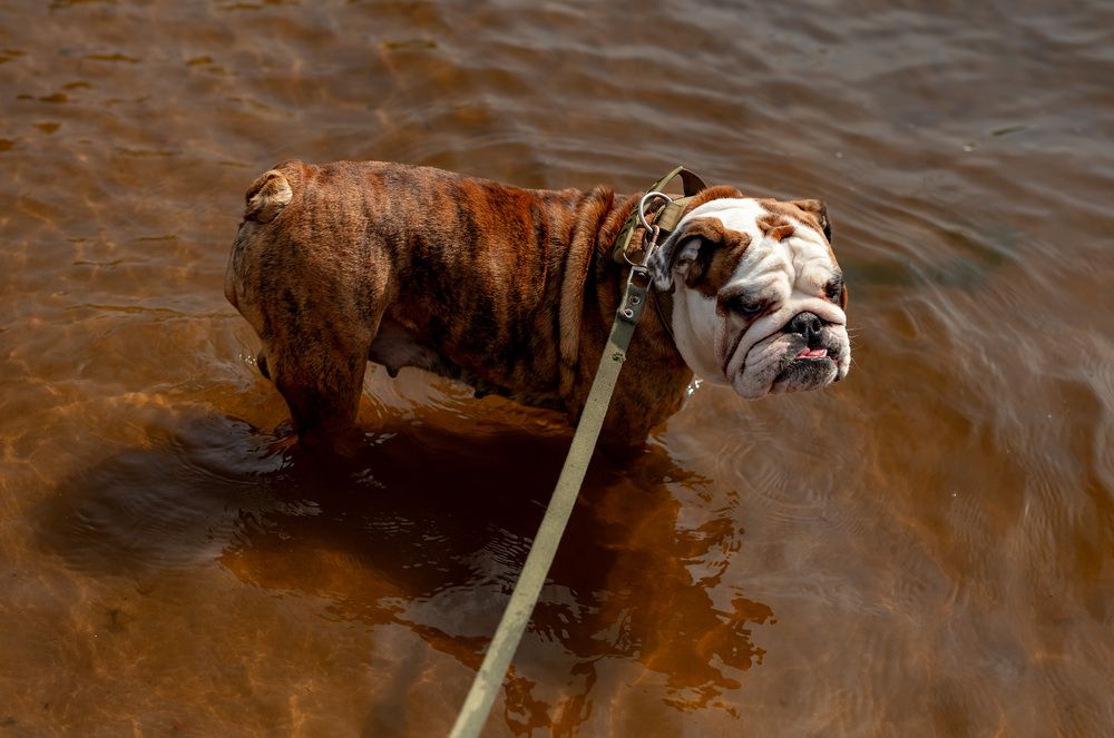 Photograph by Екатерина Каминская