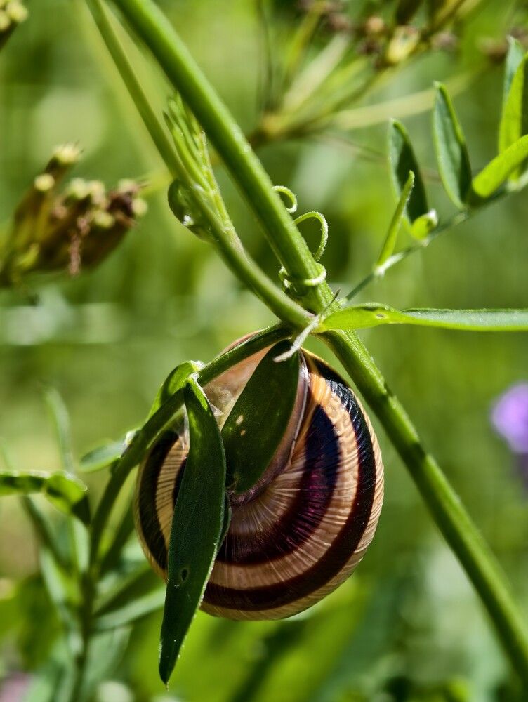 Photograph by Галина Бессуднова