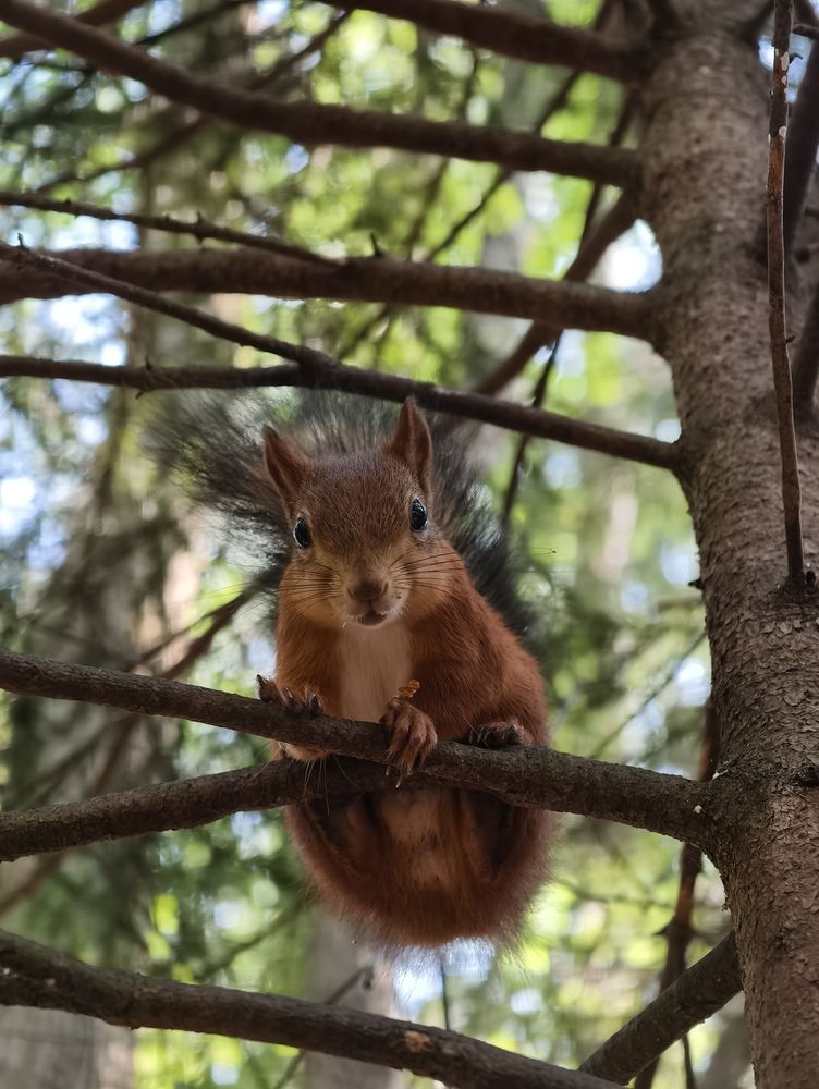 Photograph by Галина Бессуднова