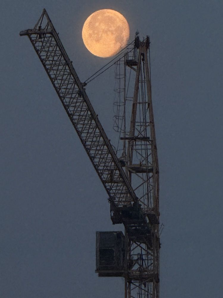 Photograph by Konstantin Kalmykov