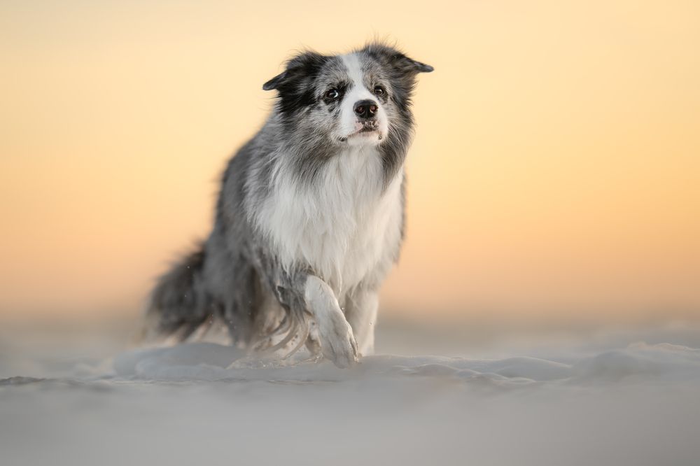 Photograph by Nathalie Soleil