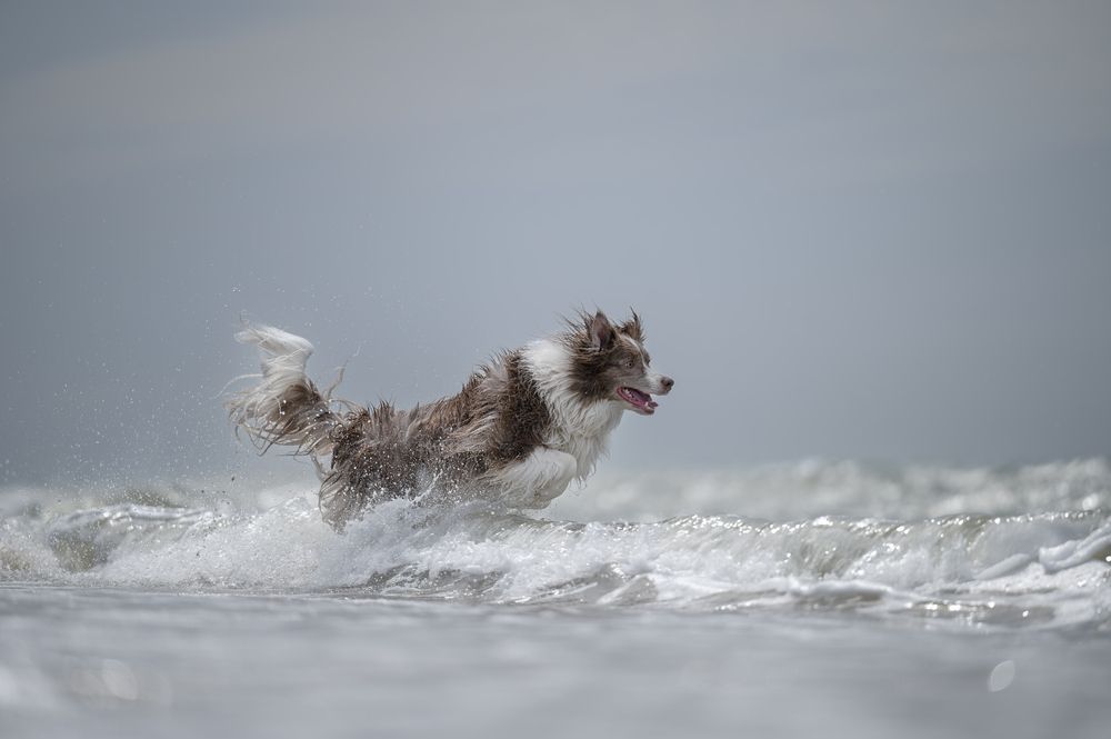 Photograph by Nathalie Soleil